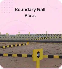 Boundary Walls plots